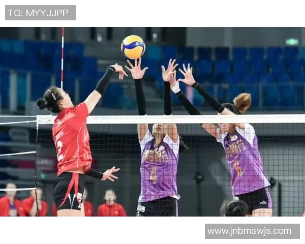 成都排球队运营模式解析与发展前景展望